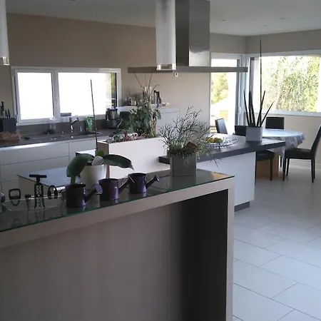 Maison Contemporaine Avec Grande Piscine Cholet
